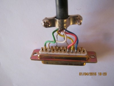 amiga 3.jpg